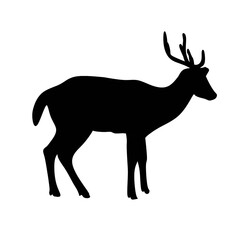 deer silhouette vector