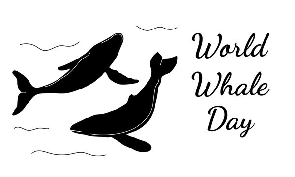 Vector with an image of whales in doodle style with text. Banner of the World Marine Mammal Protection Day.
