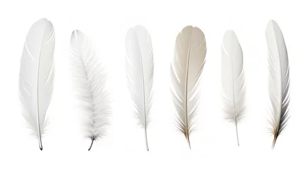 Plexiglas keuken achterwand Veren Realistic white feathers separated on a white background