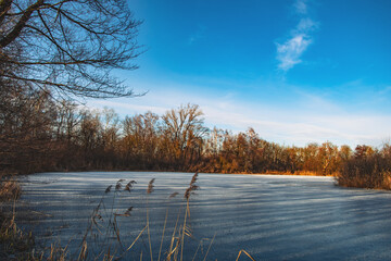 beautiful winter view on a lake in ingolstdt germany, frozen lake, ducks and swans on a winter lake