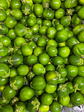 Scarlet eggplant