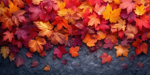 Scattered Autumn Leaves
