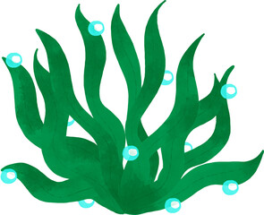 Seaweed watercolor with bubbles 
