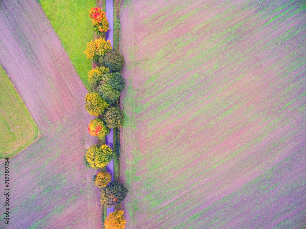 Poster aerial view of country road in autumn colors, mazury, poland