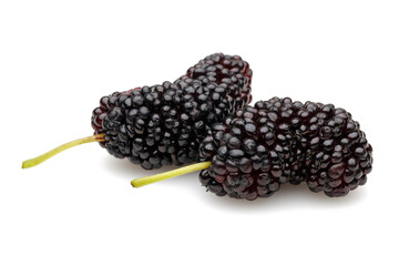 Black mulberries isolated on white background - 717991763