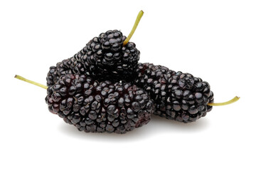 Black mulberries isolated on white background - 717992131