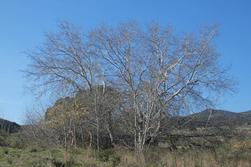 Immagini della campagna sarda