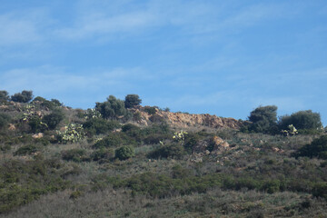Immagini della campagna sarda