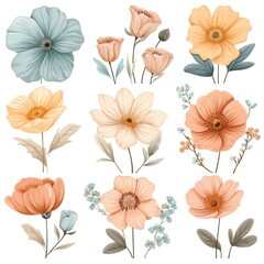 Variety of pastel Flowers as a symbol of joy on a white background