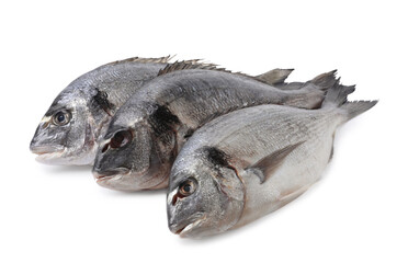 Fresh raw dorado fish isolated on white