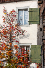 Fototapeta na wymiar Autumn Leaves in Zurich, Switzerland