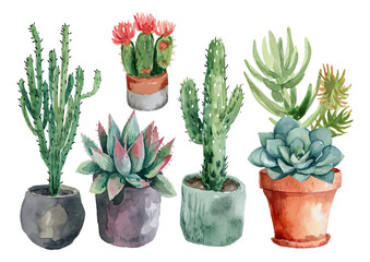 Watercolor hand-painted style succulent plants