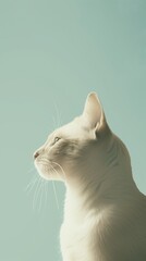Illustration of white cat on a pastel blue background. Poster for children's playground, storybook, nursery, postcard or vet clinic. Copy space, stylized