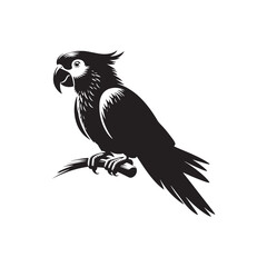 Sun-Kissed Silhouettes: Parrot Silhouettes Bathed in the Golden Glow of a Tropical Sunrise - Parrot Illustration - Parrot Vector
