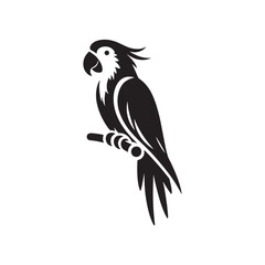 Whimsical Wingspan: Parrot Silhouettes Painting the Sky with the Whimsy of Fluttering Feathers - Parrot Illustration - Parrot Vector
