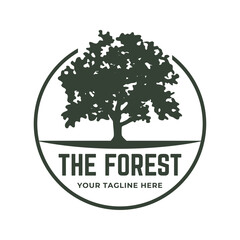 Obraz premium Tree logo design. Pine forest logo vector illustration