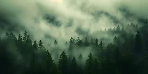 Foto op Plexiglas AI generated illustration of fog enveloping a lush forest of pine trees in a serene green landscape © Wirestock