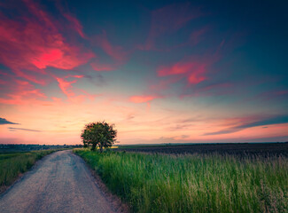 Majestic summer sunset in Ukrainian countryside. Great evening scene of old country road. Amazing outdoors scene of green meadow, Ukraine, Europe. Traveling concept background..