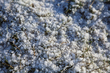 Ice crystals on grass, Derbyshire England
