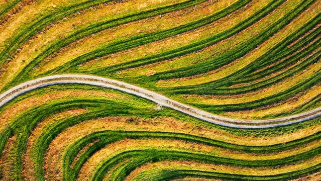 Stunning aerial 4K drone footage  of an wine region of Jeruzalem, Slovenia. Filmed on a crisp, sunny late autumn day, this video shows beautiful Slovenian countryside surrounded by vineyards.