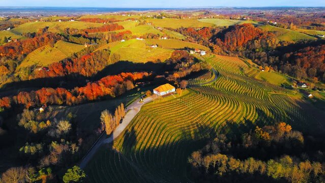 Stunning aerial 4K drone footage  of an old vineyard cottage, Malek - Jeruzalem, Slovenia. Filmed on a crisp, sunny late autumn day, this captivating video showcases beautiful Slovenian countryside.