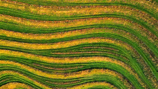 Stunning aerial 4K drone footage  of an wine region of Jeruzalem, Slovenia. Filmed on a crisp, sunny late autumn day, this video shows beautiful Slovenian countryside surrounded by vineyards.