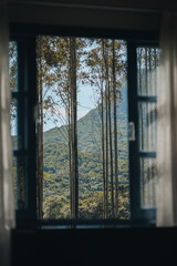 view from window for trees and mountain in the morning