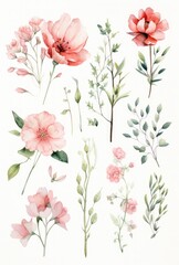 Set of watercolor drawn isolated flowers, twigs, buds. Delicate floral motifs, elements for textiles, wallpaper, patterns. Batanic illustration.