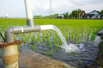 Irrigation of rice fields using pump wells with the technique of pumping water from the ground to flow into the rice fields. The pumping station where water is pumped from a irrigation canal system.