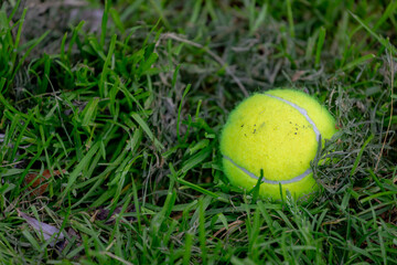 Selective focus of a yellow ball fallen on green meadow, A tennis ball is a ball designed for the sport of tennis, Open tennis court with grass field, Sport and recreation concept background.