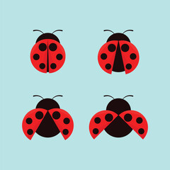 Fototapeta premium Ladybug Vector Illustration