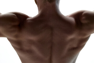 Cropped photo of healthy muscled man's back against white background. Naked male torso seen from...