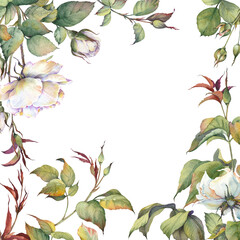 Fototapeta premium Square floral frame with white rose flowers and green branches. Invitation, wedding, birthday or anniversary card template. Watercolor painting.