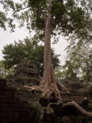 Angkor Wat
