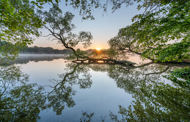 Serene lake with green trees illuminated by morning sunlight - Powered by Adobe