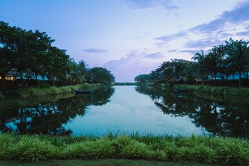 Serene river flowing through green trees