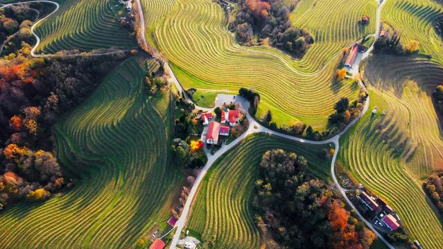 Stunning aerial 4K drone footage  of an wine region of Jeruzalem, Slovenia. Filmed on a crisp, sunny late autumn day, this video shows beautiful Slovenian countryside surrounded by vineyards.