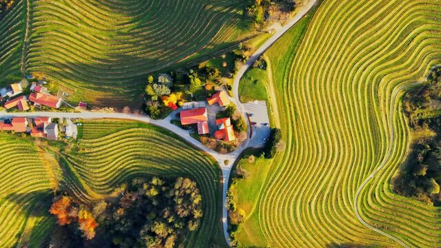 Stunning aerial 4K drone footage  of an wine region of Jeruzalem, Slovenia. Filmed on a crisp, sunny late autumn day, this video shows beautiful Slovenian countryside surrounded by vineyards.