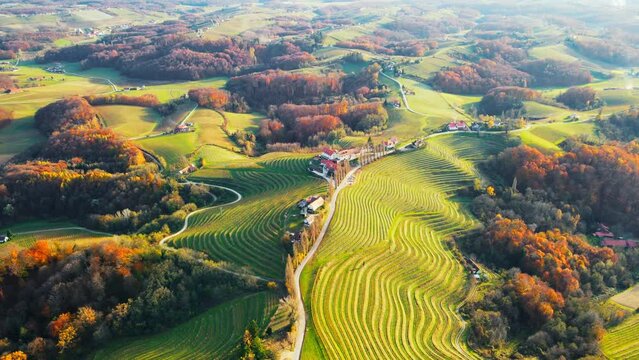Stunning aerial 4K drone footage  of an wine region of Jeruzalem, Slovenia. Filmed on a crisp, sunny late autumn day, this video shows beautiful Slovenian countryside surrounded by vineyards.