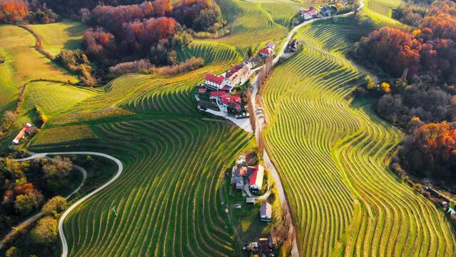 Stunning aerial 4K drone footage  of an wine region of Jeruzalem, Slovenia. Filmed on a crisp, sunny late autumn day, this video shows beautiful Slovenian countryside surrounded by vineyards.