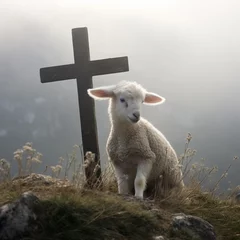 Fotobehang Small lamb and sheep sacrifice symbol © Liliana