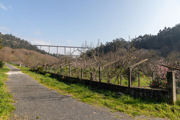 Fototapeta na wymiar A Ponte Ulla, Spain. The two viaducts of Gundian over the river Ulla