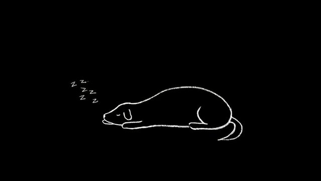 Cute dog sleeping deeply, drawn 2D animation on black background