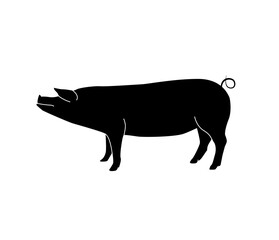 Vector silhouette of pig. Isolated white background. For coloring or packaging design. In linear style.