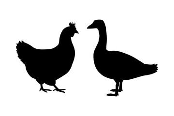 Fototapeta na wymiar Vector silhouette of chicken, rooster, goose. Isolated on white background. For an icon or logo or packaging design