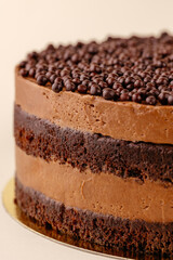 chocolate dessert on a colored background