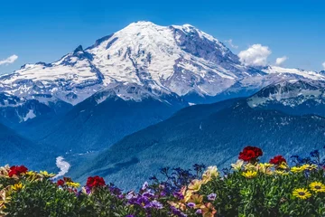 Poster Colorful Flowers Mount Rainier Crystal Mountain Lookout Pierce C © Cavan