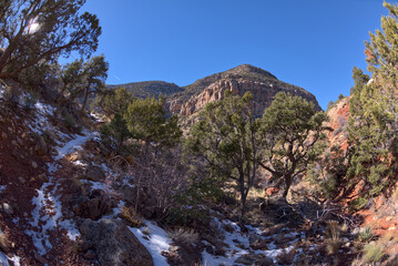 Fototapeta na wymiar Waldron Canyon off of Hermit Trail at Grand Canyon AZ