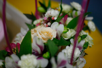 bouquet of flowers