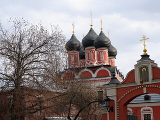 Fototapeta na wymiar An Orthodox church and a bare tree in spring.